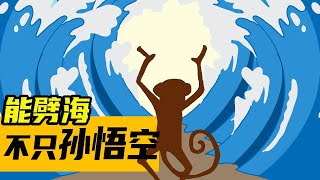 【過紅海】十幾天的曠野路程為何以色列人卻徘徊了40年？紅海博物館告訴你劈紅海竟都是真實存在的事件 出埃及記 Red Sea Museum | Red Sea Crossing