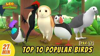 Top 10 Popular Birds Minisode Compilation (Part 2/2) - Leo the Wildlife Ranger | Animation