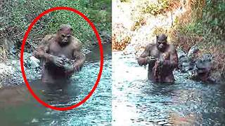 Incredible NEW BIGFOOT Evidence Proves the Legend Is Real!