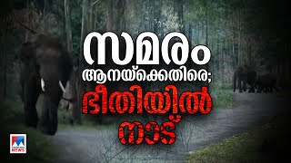 ആനപ്പേടിയില്‍ നാട്; വാദവും പ്രതിവാദവും; അണപെട്ടിയ രോഷം | Idukki | Wild Elephant