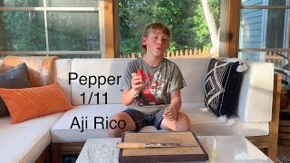 I ate an Aji Rico| ep. 1 | Hot Pepper Series |