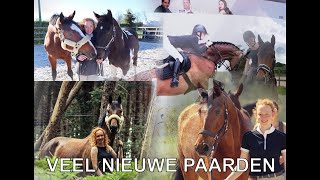 THROWBACK 2019 | PAARDRIJDEN MET PLEZIER