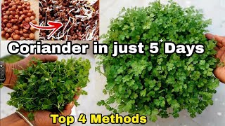 Grow Coriander in just 5+ days, Top 4 methods to grow coriander at home