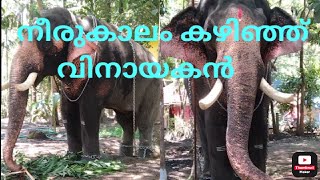 MEENAD VINAYAKAN l നീരുകാലം കഴിഞ്ഞ് മീനാട് വിനായകൻ