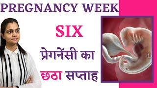 Pregnancy के 6 weeks में क्या होता है, क्या करना चाहिए, शिशु का विकास, क्या खाना चाहिए - Hindi Video