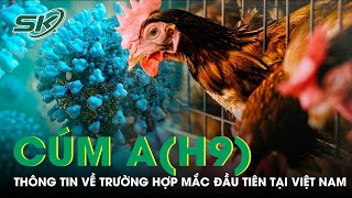 Lần Đầu Tiên Nước Ta Ghi Nhận Trường Hợp Mắc Cúm A(H9) | SKĐS