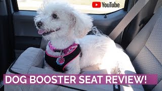 Reviewing a Booster Seat for Dogs!