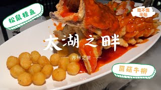 来到太湖之畔品尝苏州美食 ！！！😋 松鼠桂鱼、菌菇牛柳【吃不饱半仙】