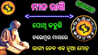 ମୀନ ରାଶି ନଭେମ୍ୱର ୨୦୨୪ ରାଶିଫଳ| mina Rashi November 2024 Rashifala, mina November 2024 prediction