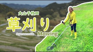 mowing 草刈り@大山千枚　| 　Kamogawa City