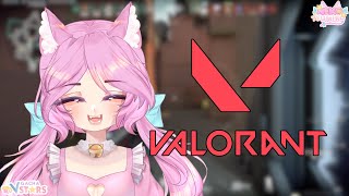 【VALORANT RANKED】 - Ranked is scary, but we are going in! 【YUMIKO NEKO】 #NekoVLive