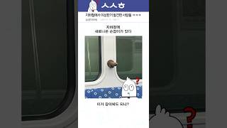 지하철에서 이상한거 발견한 사람들 ㅋㅋㅋ