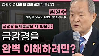 금강경  일체동관분 제 18분(1) - 금강경을 완벽 이해하려면? [김원수 법사의 내안의 선지식 금강경 234회]