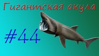 Гигантская акула