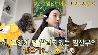 [유라브이로그]임신중기 22주-23주 일상브이로그/개,고양이 알러지와의 전쟁🐱/마라엽떡이 주는 소확행 ❤️/먹는 것이 남는 것이야 먹방브이로그? 💕/