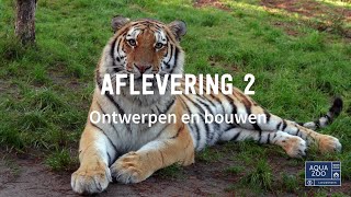 Tijgers in AquaZoo - Aflevering 2: Ontwerpen en bouwen