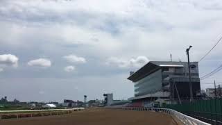 浦和競馬場