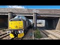 class 37510 passing alexandra palace on the fast lines