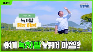 뭐랭하맨 녹차밭 광고.avi  💥제주 인생샷 핫플 그 장소💥 여기 밭 주인 누게라? | 탐방하맨2 EP.4