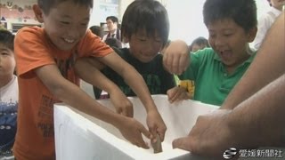 小学生が体験講座で魚への理解深める・愛媛新聞