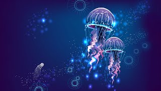 555Hz  》New Wave of Positive Energy  》Develop Radiant Aura  》Angelic Frequency #Jellyfish Series