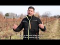 Sustainable Winegrowing Ontario Certified Spotlight: Ferox by Fabian Reis Part 2