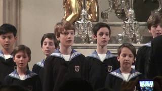 ウィーン少年合唱団（王宮礼拝堂） Vienna Boys Choir at Hofburgkapelle