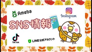 久留米あかつき幼稚園リクルートチャンネル『SNS情報📱』