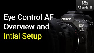 Overview and Initial Setup for Eye Control AF - EOS R5 Mark 2 Tip 11