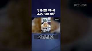 영하 40도 추위에 달걀도, 두루마리도 '공중 부양' #shorts / KBS