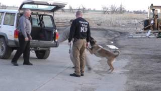 Weld County K9 Unit