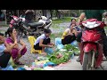 harvesting gourds go to the market to sell u0026 prepare dishes from gourds to eat with your children