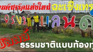 รังนกแลนด์/จุดเช็คอินฉะเชิงเทรา/ท่องเที่ยวแนวธรรมชาติ/K thai channel