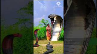 Ichchadhari nagin | snake video | #saamp #ichchadharinagin #snake #anaconda #shorts #youtubeshorts