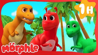 Mighty T Rex Dinosaurs | Cartoons for Kids | Mila and Morphle