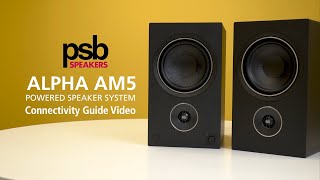 PSB Alpha AM5 Powered Speaker System: Connectivity Guide