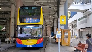 Hong Kong Bus CTB 8261 @ 77 城巴 Alexander Dennis Enviro500 田灣 - 筲箕灣