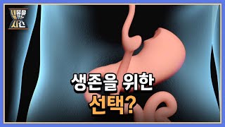 생존을 위한 선택? 비만 대사 수술과 지방 흡입 수술의 차이 MBN 220918 방송