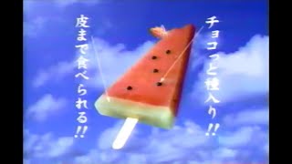 2002年8月から9月頃のCM