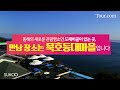 tour.com 47세 사업가 재혼남성 좋은 분과 동행해 묵호등대마을 투어데이트