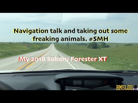 My 2018 Subaru Forester XT - Talking navigation & animals #SMH My 2018 Subaru Forester XT - Talking navigation & animals #SMH