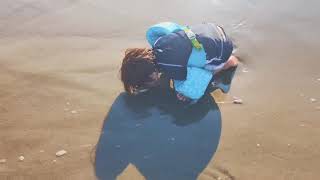 Brad Barr - Growing Up Sideways (Instrumental) [Official Video]