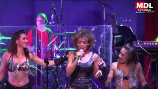 Tina Turner Experience - You are simply the best