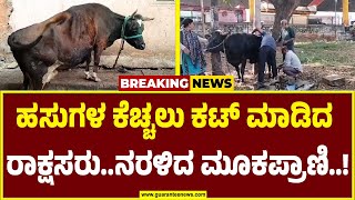 ಛೀ..ಥೂ..ಮೂಕ ಪ್ರಾಣಿ ಮೇಲೆ ಇದೆಂಥಾ ವಿಕೃತಿ..!  | Chamrajpete Cow Incident | Guarantee News