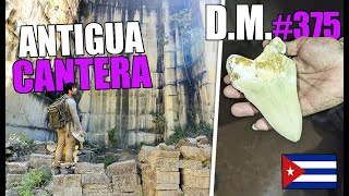 ¡DIENTES DE MEGALODÓN! en las profundidades de esta ANTIGUA CANTERA La Fosa- Detección Metálica 375