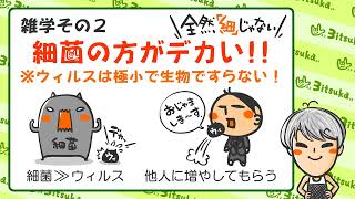 生物基礎１章２話「共テによく出る生物の細胞雑学３選」三津家貴也先生バージョン！