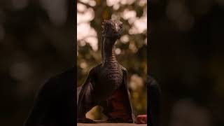 RushRounds: Drogon Learns Dracarys - Quick and Entertaining Clips