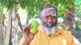 பப்பாளிக்காயில் நிறைந்துள்ள மருத்துவ குணங்கள் | Health Benefits of Papayas