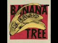 banana tree