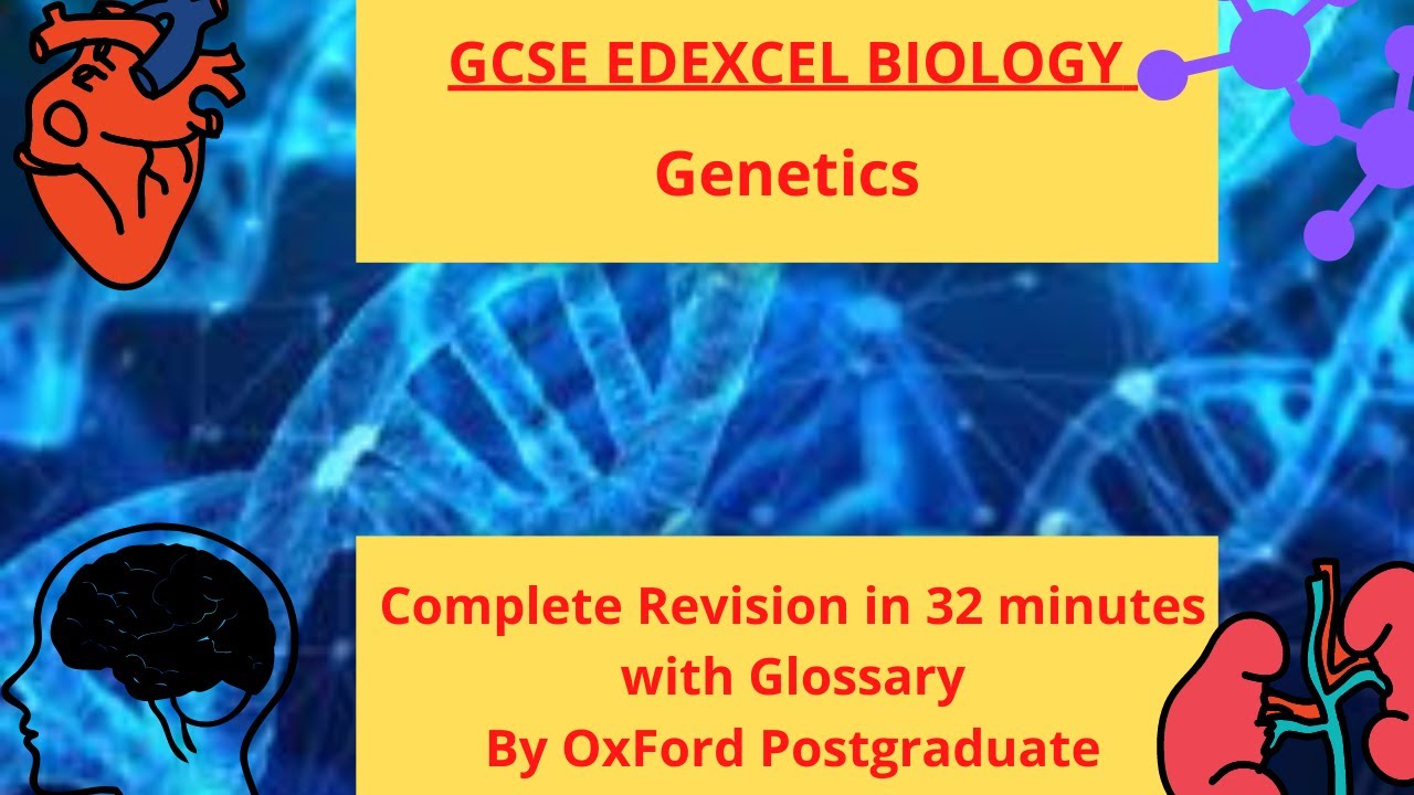 GCSE EDEXCEL Biology Genetics Complete Revision Summary In Just 32 ...